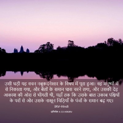 Picture 03 - दानिय्येल 4:33 HINIRV - उसी घड़ी यह वचन - Bible Verse Picture