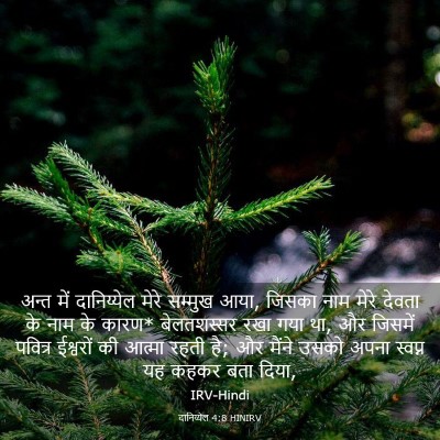 Picture 03 - दानिय्येल 4:8 HINIRV - अन्त में - Bible Verse Picture