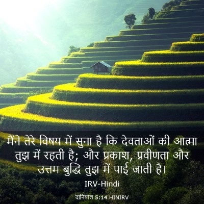 Picture 03 - दानिय्येल 5:14 HINIRV - मैंने तेरे विषय - Bible Verse Picture