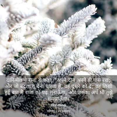 Picture 03 - दानिय्येल 5:17 HINIRV - दानिय्येल ने राजा - Bible Verse Picture