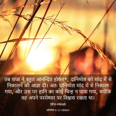 Picture 03 - दानिय्येल 6:23 HINIRV - तब राजा ने बहुत - Bible Verse Picture