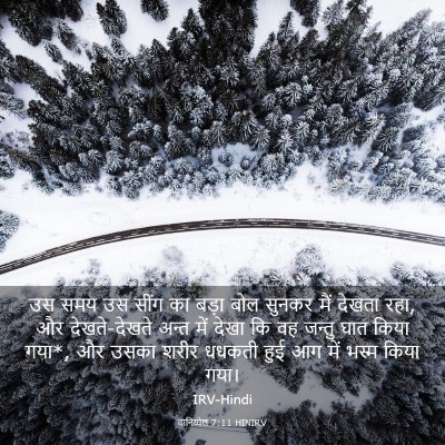 Picture 03 - दानिय्येल 7:11 HINIRV - उस समय उस सींग का - Bible Verse Picture