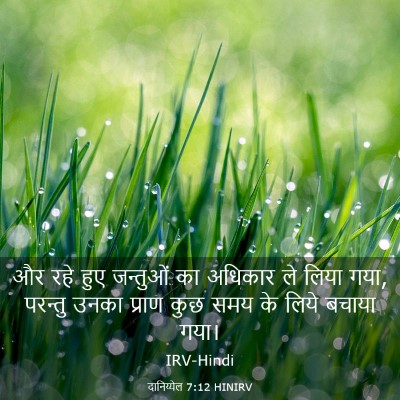 Picture 03 - दानिय्येल 7:12 HINIRV - और रहे हुए जन्तुओं - Bible Verse Picture
