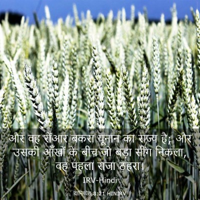 Picture 03 - दानिय्येल 8:21 HINIRV - और वह रोंआर बकरा - Bible Verse Picture