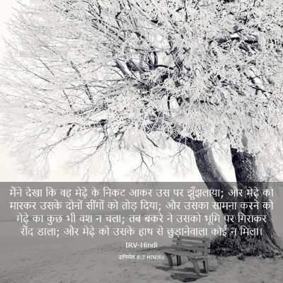 Picture 03 - दानिय्येल 8:7 HINIRV - मैंने देखा कि वह - Bible Verse Picture