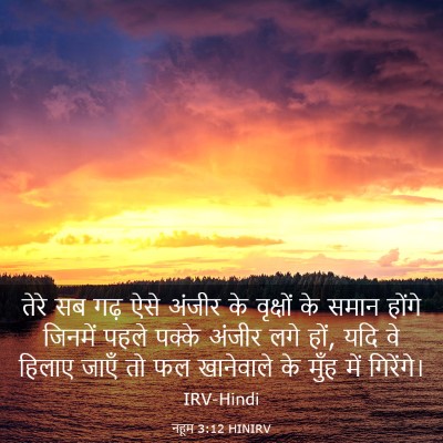 Picture 03 - नहूम 3:12 HINIRV - तेरे सब गढ़ ऐसे - Bible Verse Picture