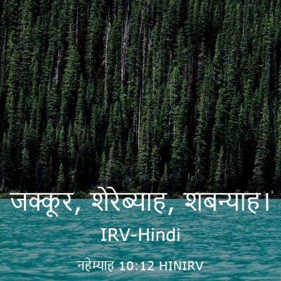 Picture 03 - नहेम्याह 10:12 HINIRV - जक्कूर, शेरेब्याह, - Bible Verse Picture