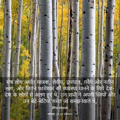 Picture 03 - नहेम्याह 10:28 HINIRV - शेष लोग अर्थात् - Bible Verse Picture