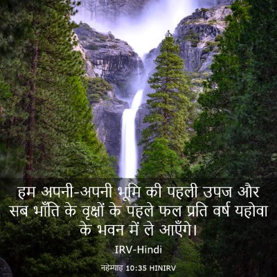Picture 03 - नहेम्याह 10:35 HINIRV - हम अपनी-अपनी भूमि - Bible Verse Picture