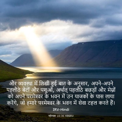Picture 03 - नहेम्याह 10:36 HINIRV - और व्यवस्था में - Bible Verse Picture
