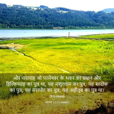 Picture 03 - नहेम्याह 11:11 HINIRV - और सरायाह जो - Bible Verse Picture