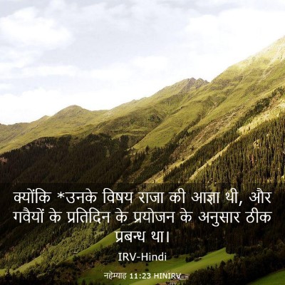 Picture 03 - नहेम्याह 11:23 HINIRV - क्योंकि *उनके विषय - Bible Verse Picture