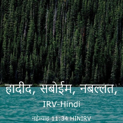 Picture 03 - नहेम्याह 11:34 HINIRV - हादीद, सबोईम, - Bible Verse Picture