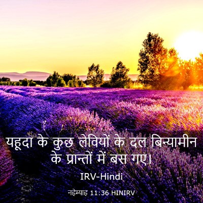 Picture 03 - नहेम्याह 11:36 HINIRV - यहूदा के कुछ - Bible Verse Picture