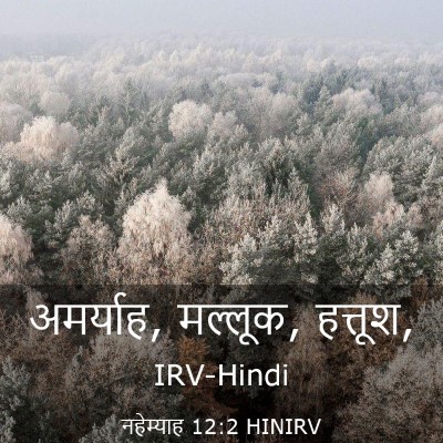 Picture 03 - नहेम्याह 12:2 HINIRV - अमर्याह, मल्लूक, - Bible Verse Picture