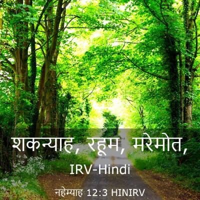 Picture 03 - नहेम्याह 12:3 HINIRV - शकन्याह, रहूम, - Bible Verse Picture