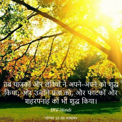 Picture 03 - नहेम्याह 12:30 HINIRV - तब याजकों और - Bible Verse Picture