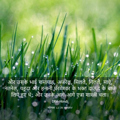 Picture 03 - नहेम्याह 12:36 HINIRV - और उसके भाई शमायाह, - Bible Verse Picture