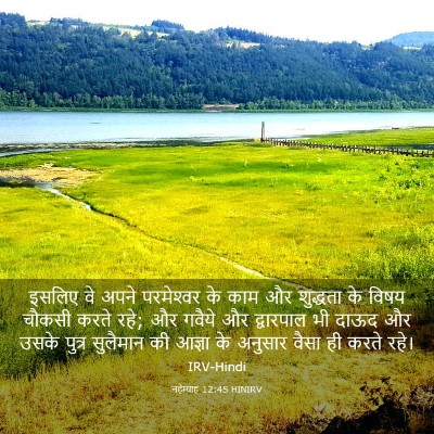Picture 03 - नहेम्याह 12:45 HINIRV - इसलिए वे अपने - Bible Verse Picture