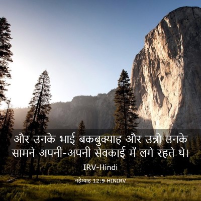 Picture 03 - नहेम्याह 12:9 HINIRV - और उनके भाई - Bible Verse Picture