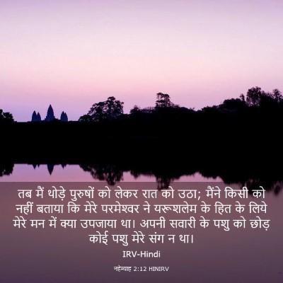 Picture 03 - नहेम्याह 2:12 HINIRV - तब मैं थोड़े - Bible Verse Picture