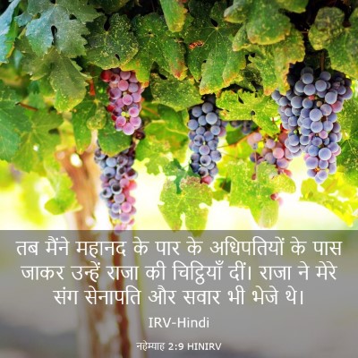 Picture 03 - नहेम्याह 2:9 HINIRV - तब मैंने महानद के - Bible Verse Picture