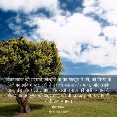 Picture 03 - नहेम्याह 3:15 HINIRV - सोताफाटक की - Bible Verse Picture