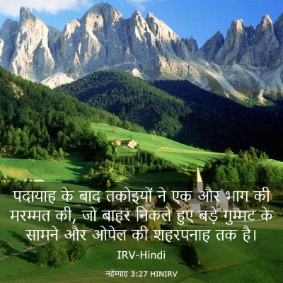 Picture 03 - नहेम्याह 3:27 HINIRV - पदायाह के बाद - Bible Verse Picture