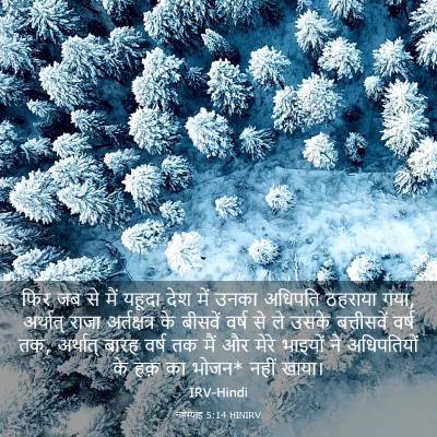 Picture 03 - नहेम्याह 5:14 HINIRV - फिर जब से मैं यहूदा - Bible Verse Picture