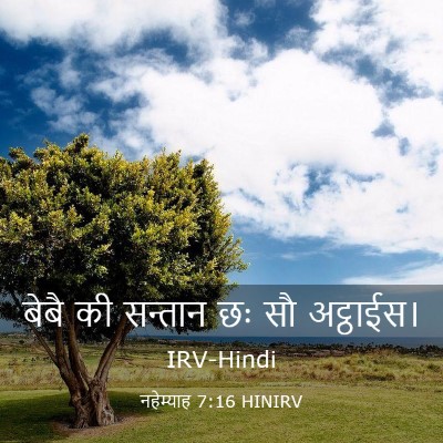 Picture 03 - नहेम्याह 7:16 HINIRV - बेबै की सन्तान छः - Bible Verse Picture