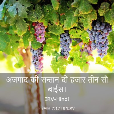 Picture 03 - नहेम्याह 7:17 HINIRV - अजगाद की सन्तान दो - Bible Verse Picture