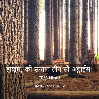 Picture 03 - नहेम्याह 7:22 HINIRV - हाशूम, की सन्तान - Bible Verse Picture