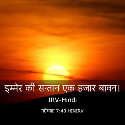 Picture 03 - नहेम्याह 7:40 HINIRV - इम्मेर की सन्तान - Bible Verse Picture
