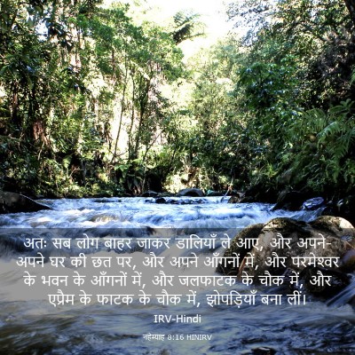 Picture 03 - नहेम्याह 8:16 HINIRV - अतः सब लोग बाहर - Bible Verse Picture