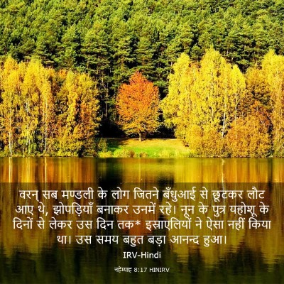 Picture 03 - नहेम्याह 8:17 HINIRV - वरन् सब मण्डली के - Bible Verse Picture