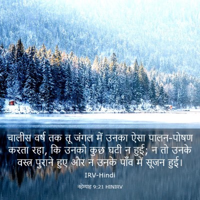 Picture 03 - नहेम्याह 9:21 HINIRV - चालीस वर्ष तक तू - Bible Verse Picture