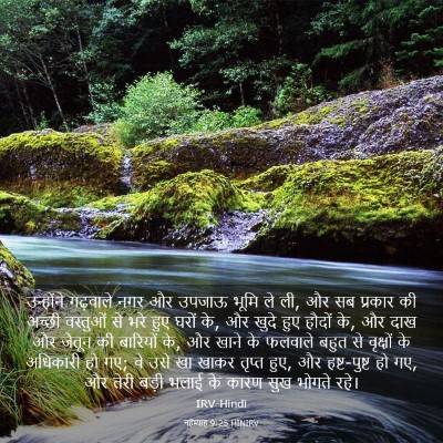 Picture 03 - नहेम्याह 9:25 HINIRV - उन्होंने गढ़वाले - Bible Verse Picture