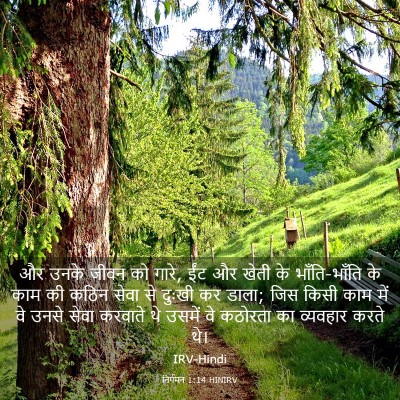 Picture 03 - निर्गमन 1:14 HINIRV - और उनके जीवन को - Bible Verse Picture