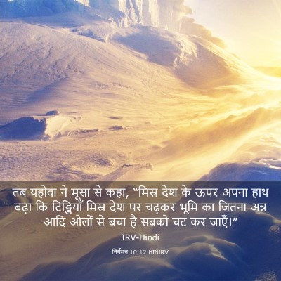 Picture 03 - निर्गमन 10:12 HINIRV - तब यहोवा ने मूसा से - Bible Verse Picture