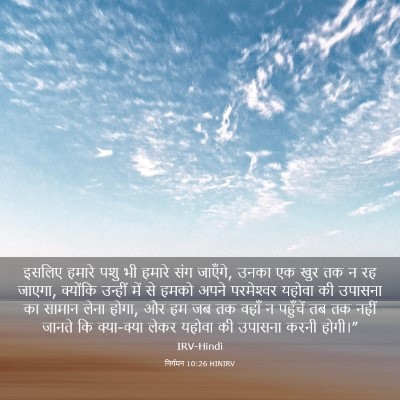 Picture 03 - निर्गमन 10:26 HINIRV - इसलिए हमारे पशु भी - Bible Verse Picture