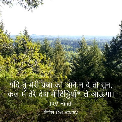 Picture 03 - निर्गमन 10:4 HINIRV - यदि तू मेरी प्रजा - Bible Verse Picture