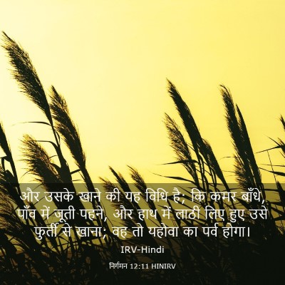 Picture 03 - निर्गमन 12:11 HINIRV - और उसके खाने की यह - Bible Verse Picture