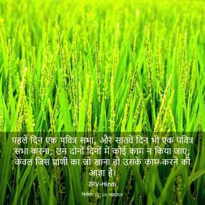 Picture 03 - निर्गमन 12:16 HINIRV - पहले दिन एक पवित्र - Bible Verse Picture