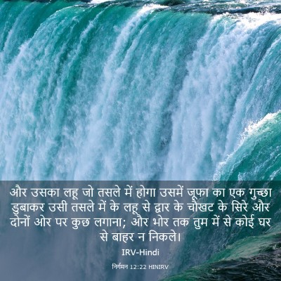 Picture 03 - निर्गमन 12:22 HINIRV - और उसका लहू जो तसले - Bible Verse Picture