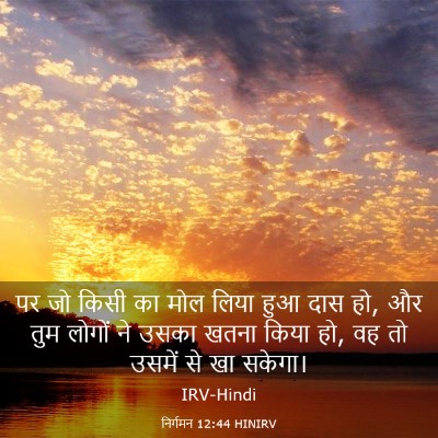 Picture 03 - निर्गमन 12:44 HINIRV - पर जो किसी का मोल - Bible Verse Picture