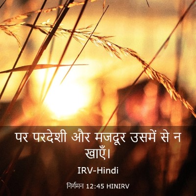 Picture 03 - निर्गमन 12:45 HINIRV - पर परदेशी और मजदूर - Bible Verse Picture