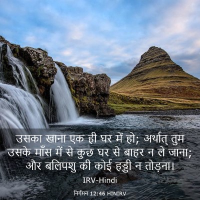 Picture 03 - निर्गमन 12:46 HINIRV - उसका खाना एक ही घर - Bible Verse Picture