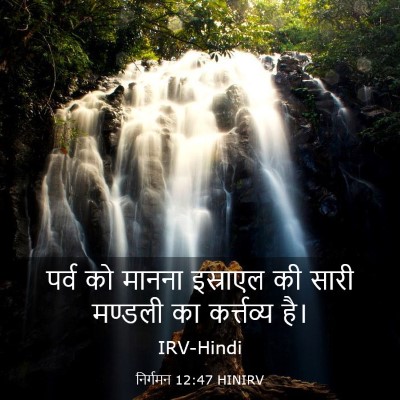 Picture 03 - निर्गमन 12:47 HINIRV - पर्व को मानना - Bible Verse Picture