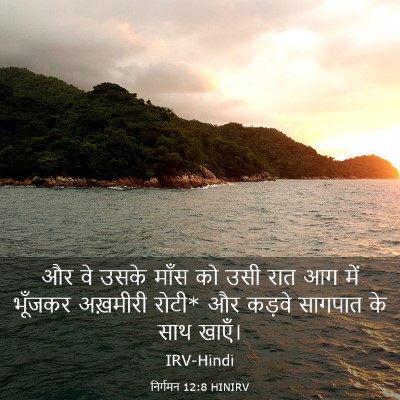 Picture 03 - निर्गमन 12:8 HINIRV - और वे उसके माँस को - Bible Verse Picture