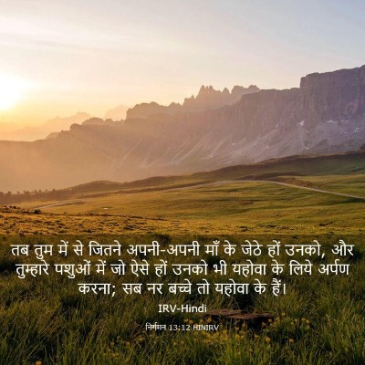 Picture 03 - निर्गमन 13:12 HINIRV - तब तुम में से जितने - Bible Verse Picture